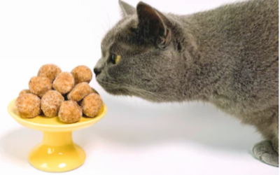 All About Freeze Dried Cat Foods